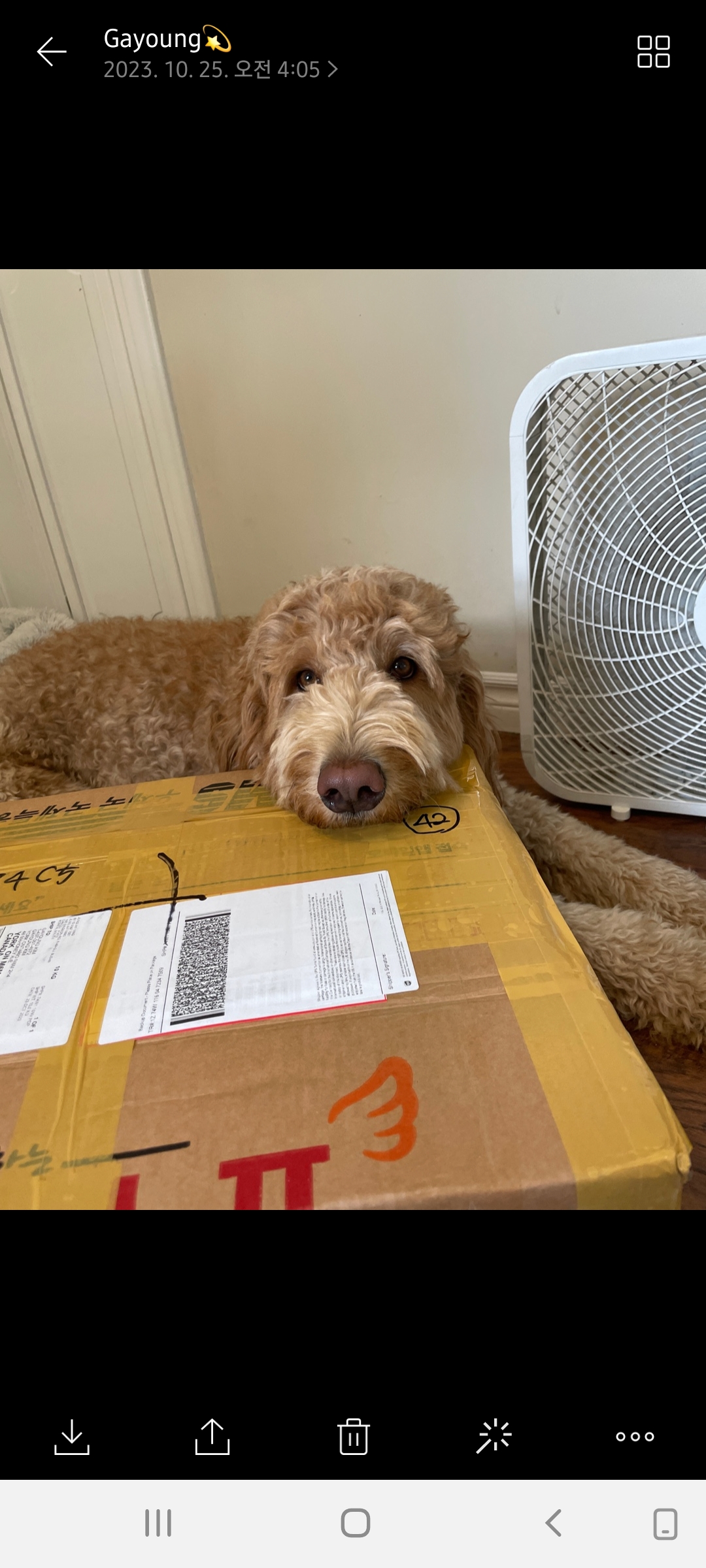 한국에서 캐나다로