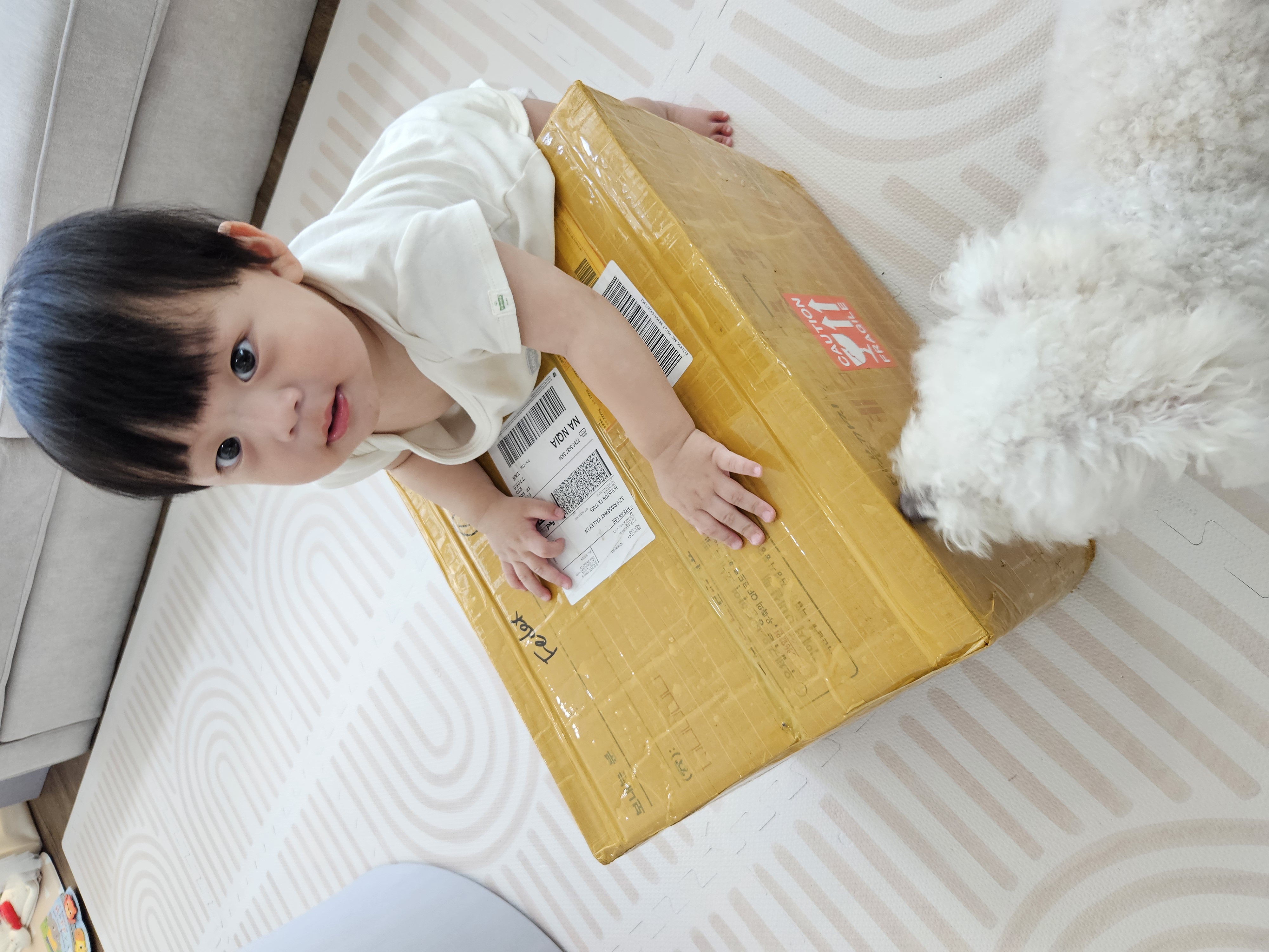 정말 빨라요ㅠㅠㅠ 감격