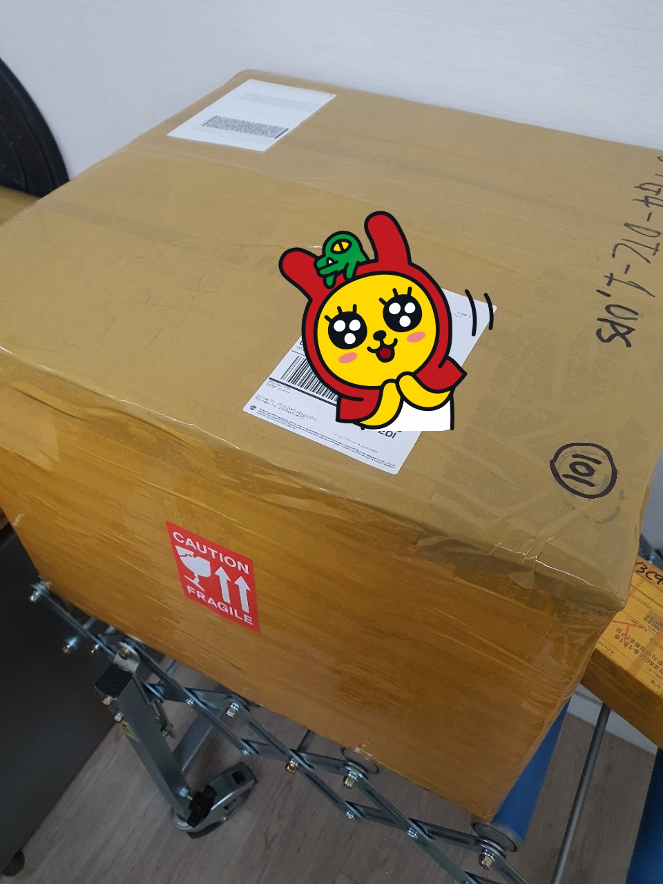 미국까지 로켓배송