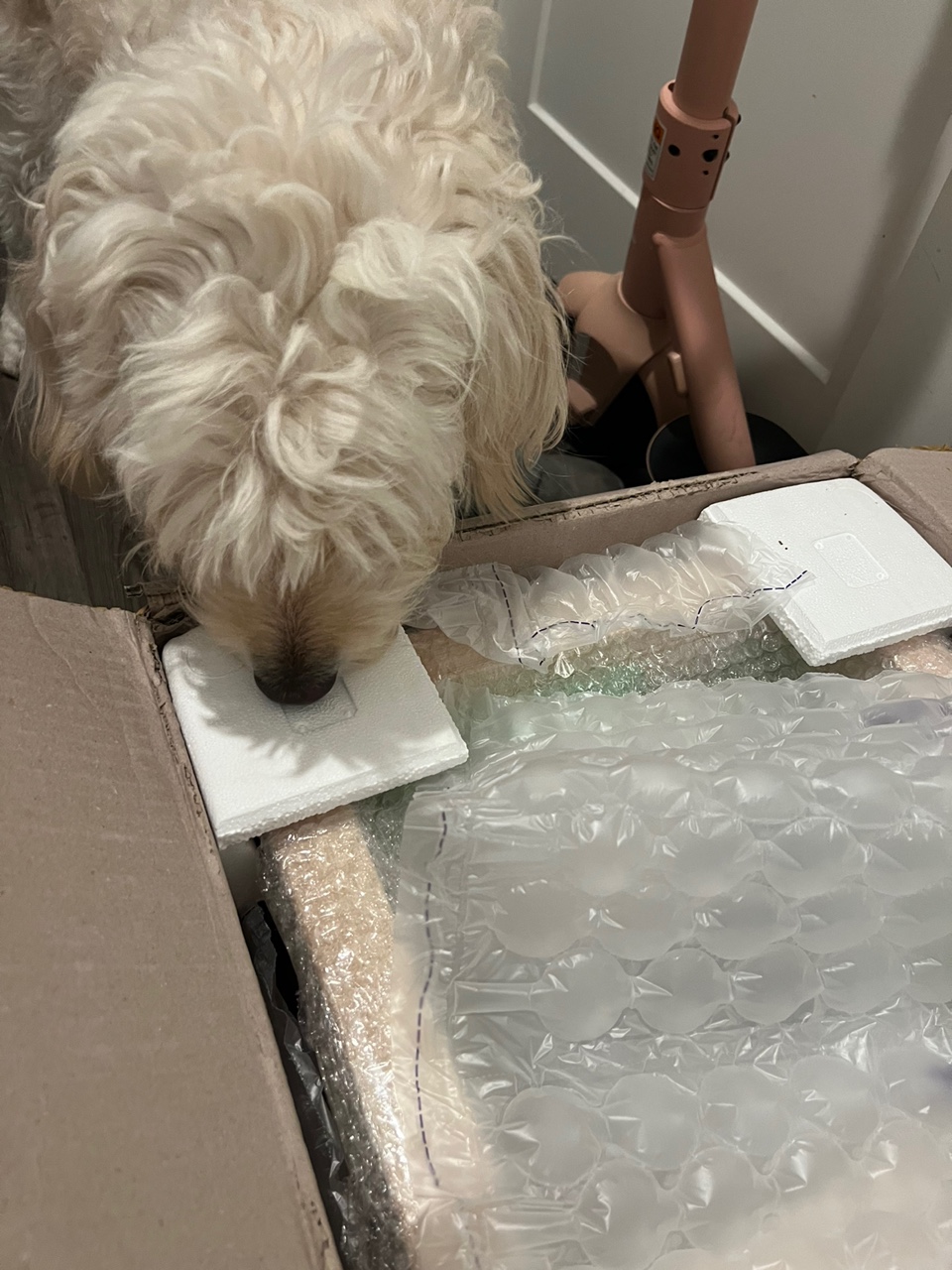 에이투지는 사랑입니다♡