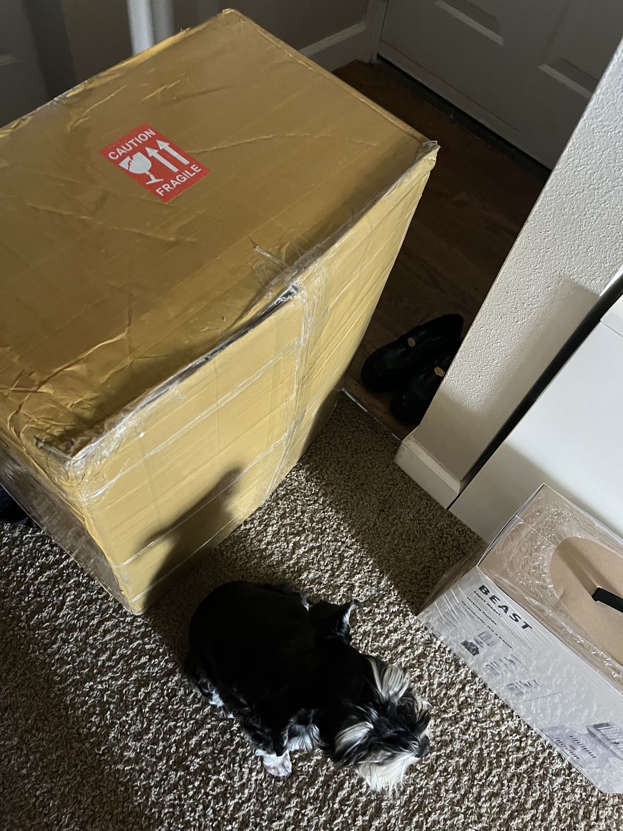 완전 만족합니다!