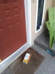 캐나다까지 정말 빠릅니다.